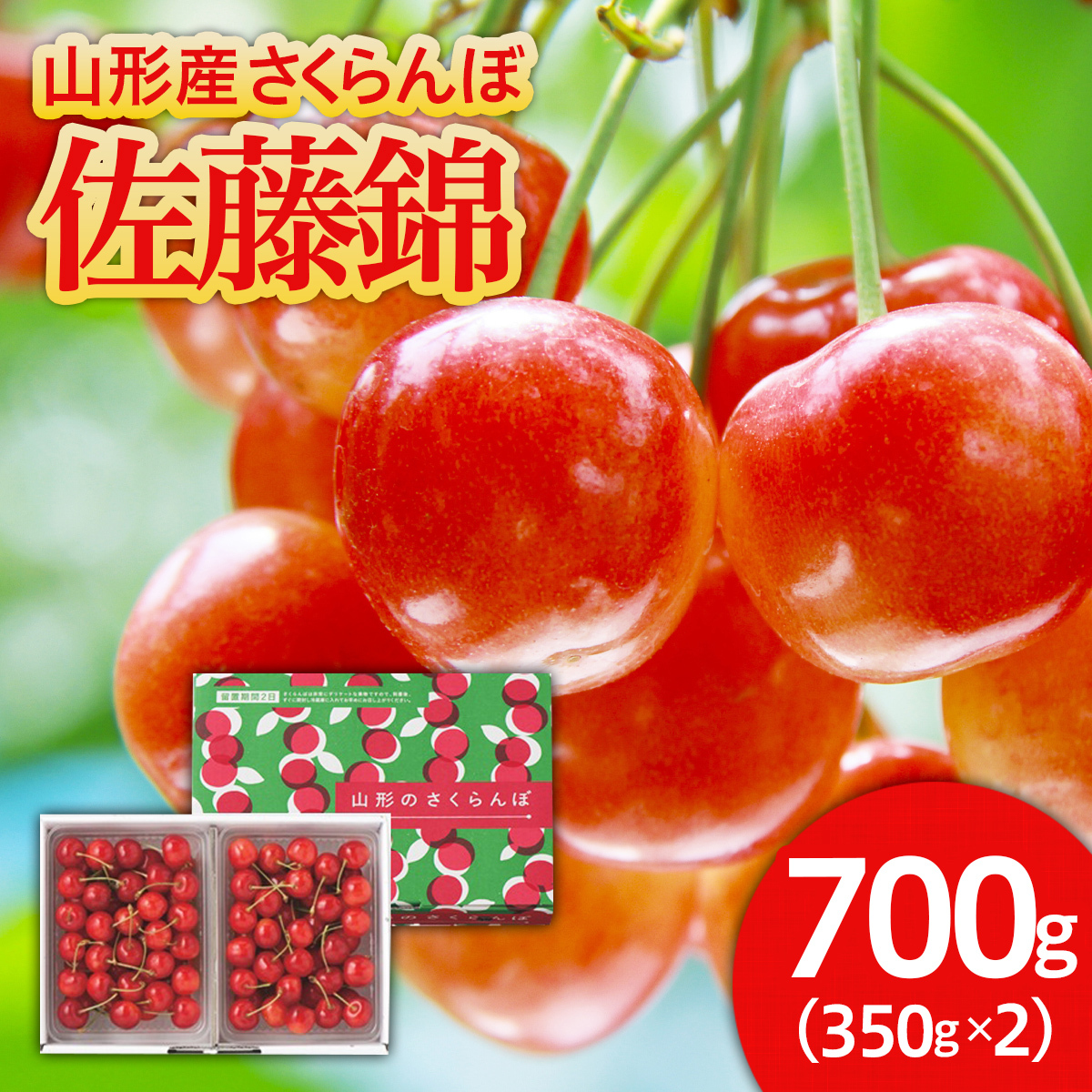 さくらんぼ 佐藤錦 700g バラ詰め Ｌサイズ 【令和8年産先行予約】FU21-613