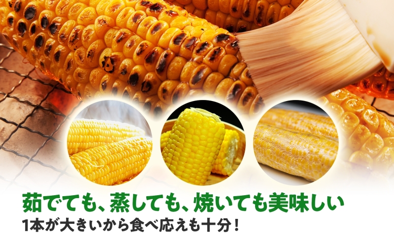  北海道産 スイート コーン めぐみゴールド 2Lサイズ 10本 先