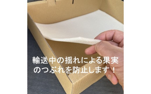 輸送中の揺れによる果実のつぶれを防止します。