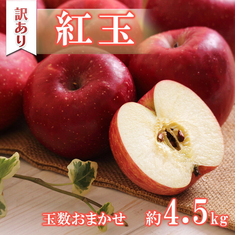 【ふるさと納税】訳ありりんご 紅玉 約4.5kg 玉数おまかせ 小玉 りんご リンゴ 林檎 信州りんご 紅玉りんご 果物 フルーツ 旬の果物 旬のフルーツ デザート お菓子作り 訳あり 訳アリ 長野 長野県 箕輪町　お届け：2025年9月下旬～10月中旬