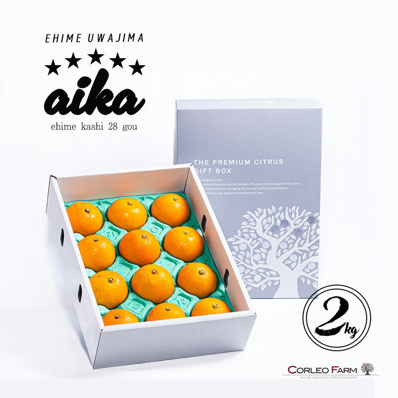 【ふるさと納税】 愛果28号 2kg コルレオファーム 愛媛みかん 先行予約 あいか 高級柑橘 愛媛蜜柑 みかん フルーツ 柑橘 蜜柑 mikan 濃厚 プルプル 美味しい 果物 くだもの 美味しいみかん 濃厚みかん 産直 産地直送 数量限定 国産 愛媛 愛媛県 宇和島 B018-145021