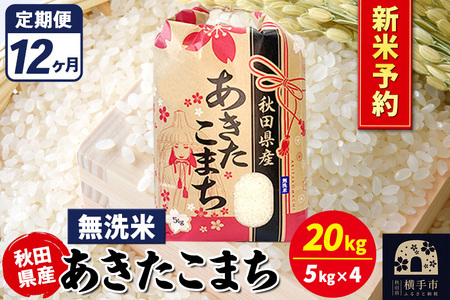 《令和7年産 新米受付》《定期便12ヶ月》あきたこまち 20kg【無洗米】秋田県産 こまちライン