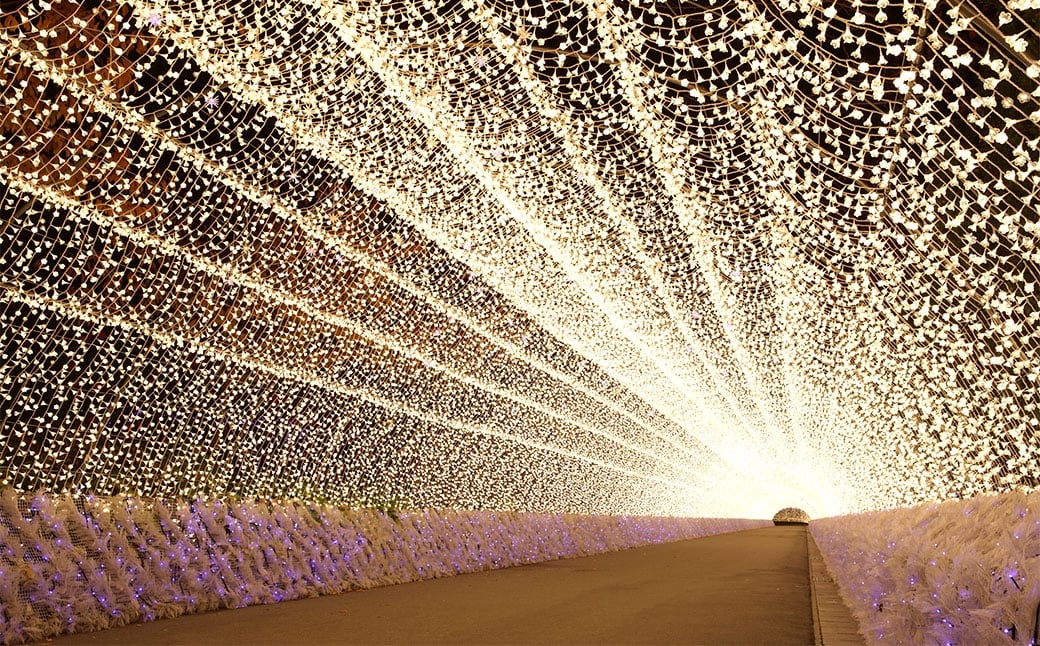 なばなの里 イルミネーション特別入村券 4名様分（ベゴニアガーデン入場券付）  ／ イルミネーション チケット イベント 入場券 券 利用券 夜 4人 4名 グループ 家族 【2026年4月下旬まで発