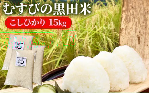 新米 むすびの黒田米 こしひかり 15キロ [ 米 お米 15kg 5kg×3袋 コシヒカリ お弁当 おむすび 冷めても美味しい ]