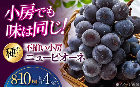 ぶどう ニューピオーネ 不揃い 約4kg APAB006