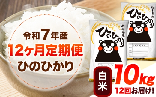 令和7年産【12ヶ月定期便】 白米 ひのひかり 10kg 《お申込み翌月から出荷》 熊本県産 白米 精米 ひの 送料無料 熊本県 山江村 SDGs 米 コメ こめ 国産