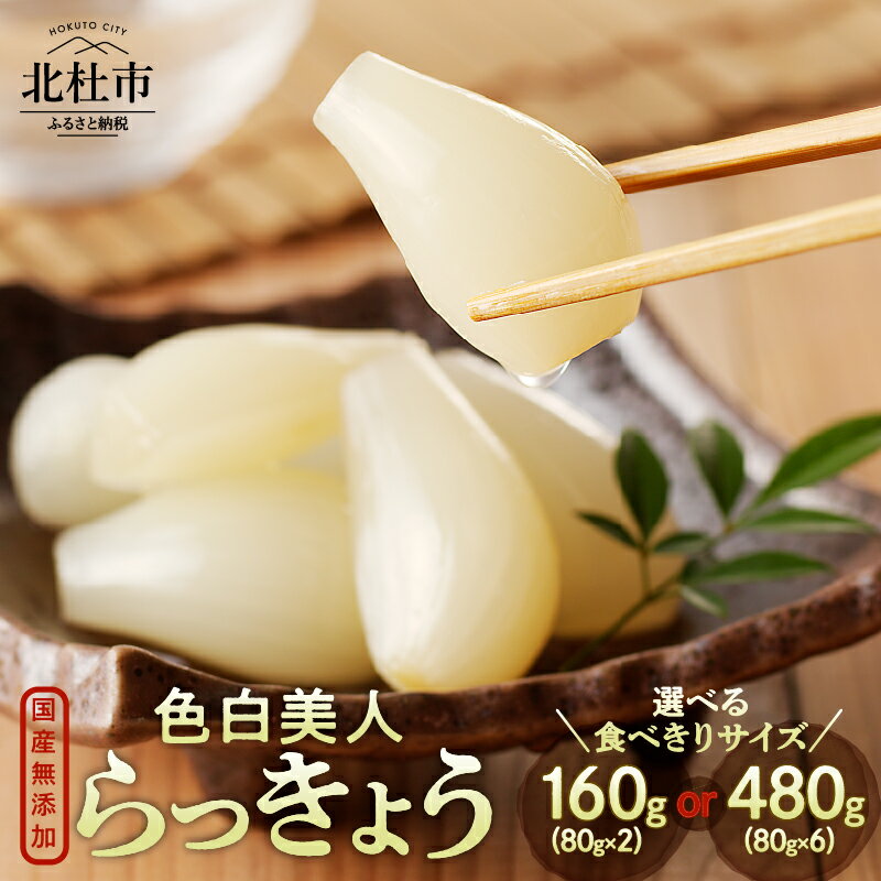 【ふるさと納税】 らっきょう 国産 無添加 色白美人らっきょう ラッキョウ 食べきりサイズ 選べる容量 160g 480g 80g×2袋 80g×6袋 おつまみ ご飯のおとも お酒のお供 野菜 旬 漬物 つけもの お漬物 常温保存 山梨県 北杜市 送料無料