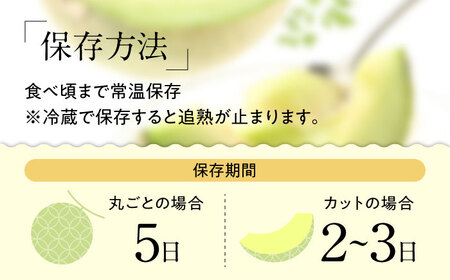 【2027年5月-発送】【さわやかな味！ 】タカミメロン 2玉 （約 2kg）  / メロン 南島原市 / 南島原果物屋 [SCV004]