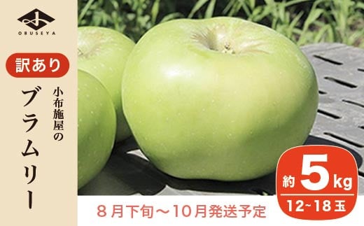 
            【訳あり】 クッキングアップル ブラムリー 約5kg 12～18玉 ［小布施屋］  林檎 リンゴ フルーツ 果物 傷 キズ 不揃い 規格外 家庭用 令和7年産  【2025年8月下旬～10月発送】  ［A-47］
          