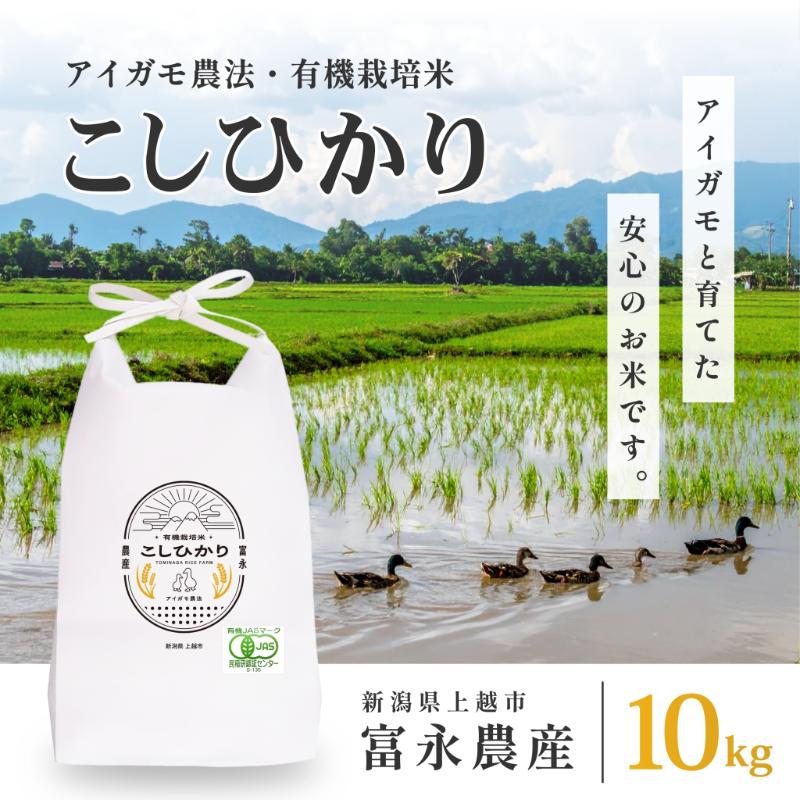 令和7年 新潟県産コシヒカリ アイガモ農法 10kg 10キロ（5kg×2） JAS有機栽培米 上越市 三和区神田 富永農産 送料無料 安全・安心こしひかり