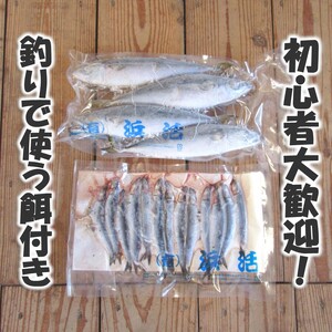 【C2-026】【釣り堀ハマカツ】1名釣り堀利用券(小学生以下1名)