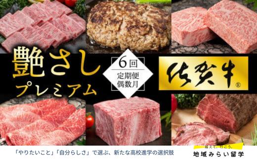 
            【定期便セット】佐賀牛を隔月偶数月に6回お届け(ロース・ハンバーグ・カルビ・ローストビーフ・サーロイン・しゃぶしゃぶすき焼き用)
          