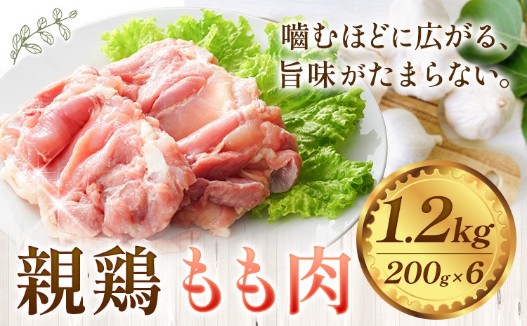 
            親鶏 肉 鶏肉 もも肉 1.2kg 200g × 6 《30日以内に出荷予定(土日祝除く)》 徳島県 上板町 唐揚げ 炒め物
          