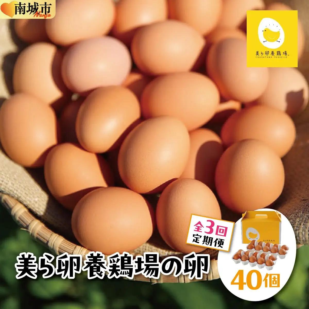 美ら卵養鶏場の卵 40個【3ヶ月定期便】   