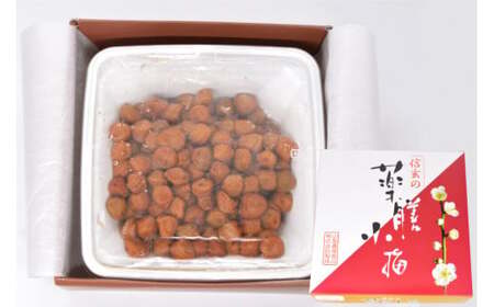 【やわらか】信玄の薬膳小梅干 600g×1  梅干し 国産