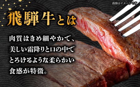 【1月発送】【飛騨牛】 A5等級 サーロイン ステーキ用 10枚 (計2.5kg) 和牛 ブランド牛 国産 牛肉 多治見市 / 渡辺精肉店 [TAZ003-1]