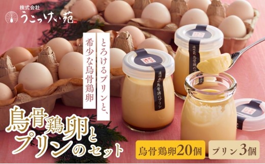 
            鳥骨鶏卵（20個）とプリン（3個）のセット たまご 烏骨鶏 プリン スイーツ お菓子 静岡県 森町
          