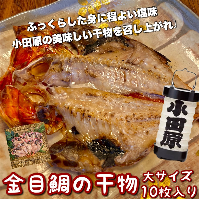 金目鯛の干物 大サイズ 10枚セット 142069_DQ143