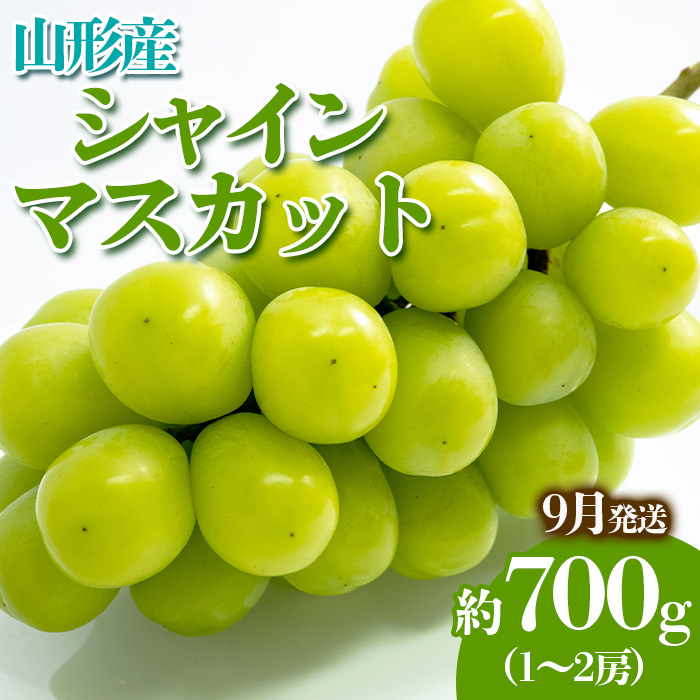 やまがたのぶどう シャインマスカット 9月 秀品 約700g(1～2房程度) 【令和8年産先行予約】FS23-816