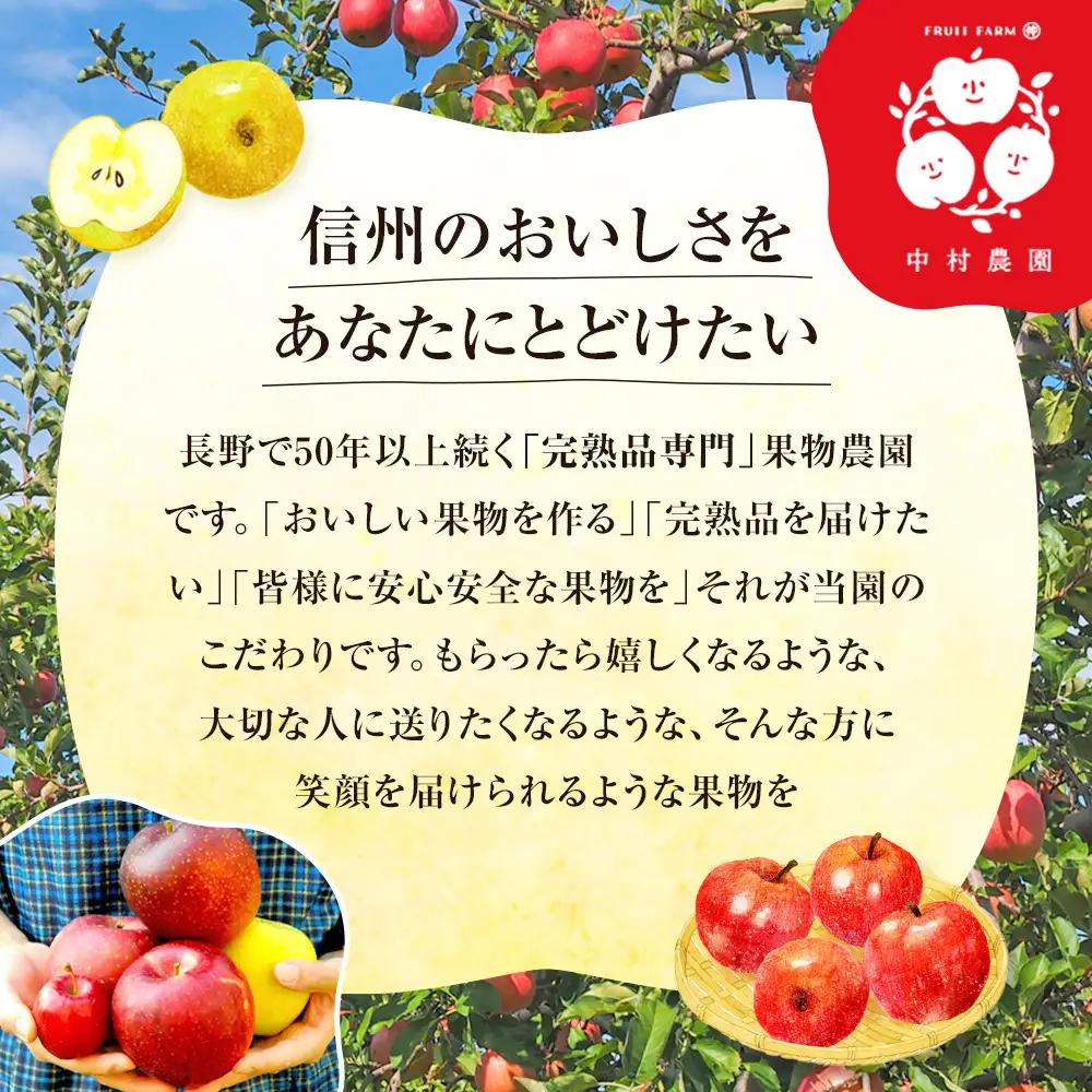 フルーツファーム中村農園　【11月下旬発送 先行予約】樹上熟成　サンふじ 3kg | りんご サンふじ 樹上熟成 糖度