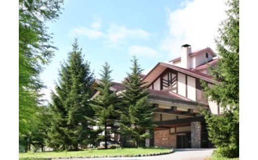 
            白馬 東急ホテル 宿泊補助券 5,000円分/長野県白馬村　東急ホテルズ　宿泊券　チケット　高原リゾート　避暑地　スキー　スノーボード【L0130505】
          
