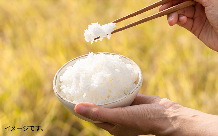 【 6回 定期便 】 糸島 で 農薬 を使わずに育てた山つき 糸島米 3kg （ コシヒカリ ）《 糸島 》【株式会社やました】 [ARJ013]