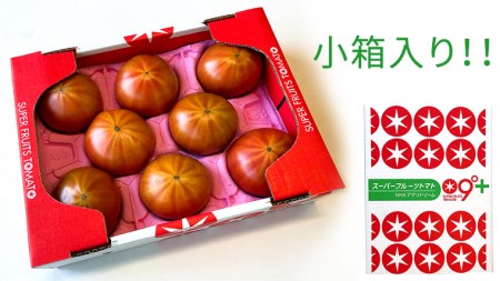 【2024年2月上旬発送開始】スーパーフルーツトマト 小箱 約800g（7～13玉）×1箱 糖度9度以上 スーパーフルーツ トマト とまと 野菜 [BC068sa]
