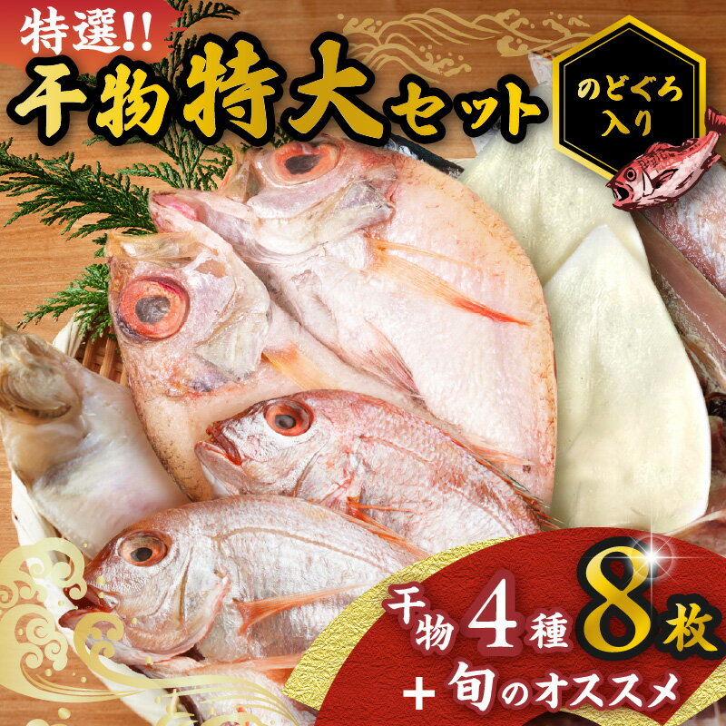 【ふるさと納税】特選!!豪華盛り合わせ♪干物特大セット 魚介類 魚貝類 干物 干もの セット 干物セット のどぐろ ノドグロ カレイ かれい 蓮子鯛 イカ いか【033_1778】