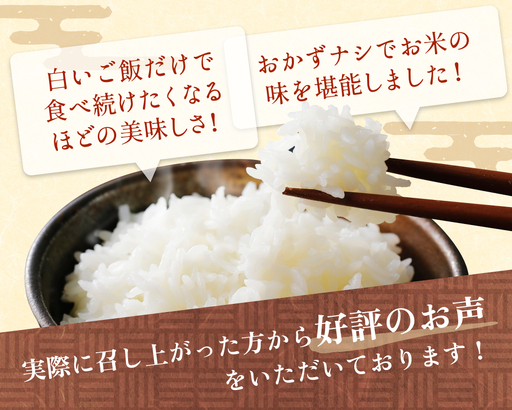 令和7年産 富山県産 ミルキークイーン はさがけ米 無洗米 5kg 富山県 氷見市 米 ブランド米