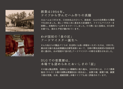 《特別企画品》＜大山ハム＞食の匠工房6種12品詰合せ TK30W【大山ブランド会】