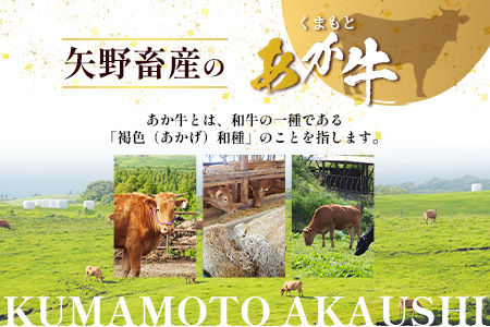 くまもとあか牛 すき焼き・しゃぶしゃぶ用 徳用 500g×2パック 計1kg すき焼き しゃぶしゃぶ あか牛 牛肉 ヘルシー すきしゃぶ 105-0518