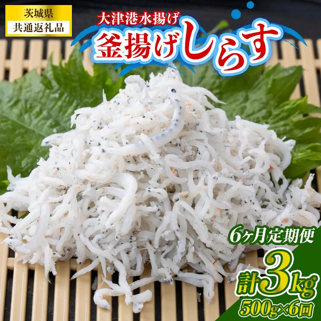 【6回定期便】大津港水揚げの釜揚げしらす 500g(250g×2パック) (茨城県共通返礼品:北茨城市) (BC021)