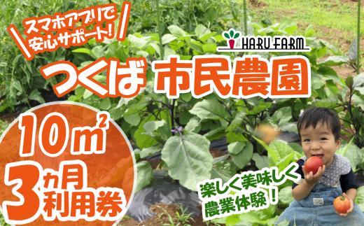 【専用スマホアプリがサポート】ハルファームの市民農園利用券（10㎡ 3ヵ月分）  │ 農園 貸農園 貸し農園 農業体験 農業 野菜収穫 体験 野菜体験 チケット 旬野菜 採れたて野菜 茨城県 つくば市