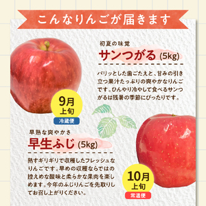 りんごとりんごジュースの定期便4回【2025年9月発送開始／先行予約／贈答規格】 りんご リンゴジュース定期便（サンふじ 早生ふじ サンつがる 青森  林檎 リンゴ 定期 りんごジュース）