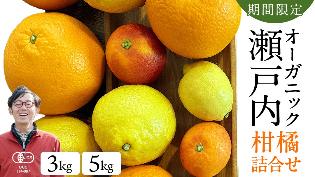 
            国産 オーガニック フルーツ 詰め合わせ 3kg 5kg レモン ブラッドオレンジ はるか 不知火 紅八朔 有機JAS認証 選べるサイズ 瀬戸内 広島 大崎上島 離島 有機栽培 柑橘 濃厚 果物 ギフト 3月発送 限定 産地直送 中原観光農園
          