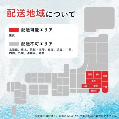 【毎月定期便】【関東のみお届け】強炭酸水レモン 1L 12本 計12LサーフVOLT(レモン)全6回【配送不可地域：離島・北海道・沖縄県・東北・信越、北陸・東海・近畿・中国・四国・九州】【405569