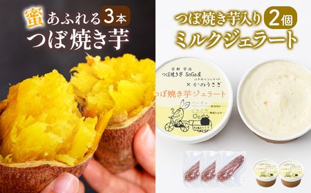 つぼ焼き芋(3本)・ミルクつぼ焼き芋ジェラート(2個) 焼き芋 さつまいも スイーツ 国産 蜜芋 ジェラート アイス 焼き芋アイス 焼き芋 ミルクアイス ミルクジェラート 焼き芋ジェラート 食べ比べ【uj-EC003】【つぼ焼き芋 SoGa屋】
