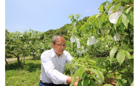 季節のおすすめ商品詰めあわせ＜ジャム5瓶入＞ きゅうり 生ハム フルーツソース いちじく 桃 温州みかん キウイ 高野街道 自家製 河内長野市