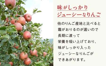 先行予約 りんご 約5kg 【 品種 ふじ 】 果物 米崎りんご マルキヨファーム