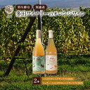 【ふるさと納税】【酸化防止剤無添加 野生酵母 無濾過】オレンジワイン 2本 多田ワイナリー 北海道 上富良野町 ワイン 果実酒