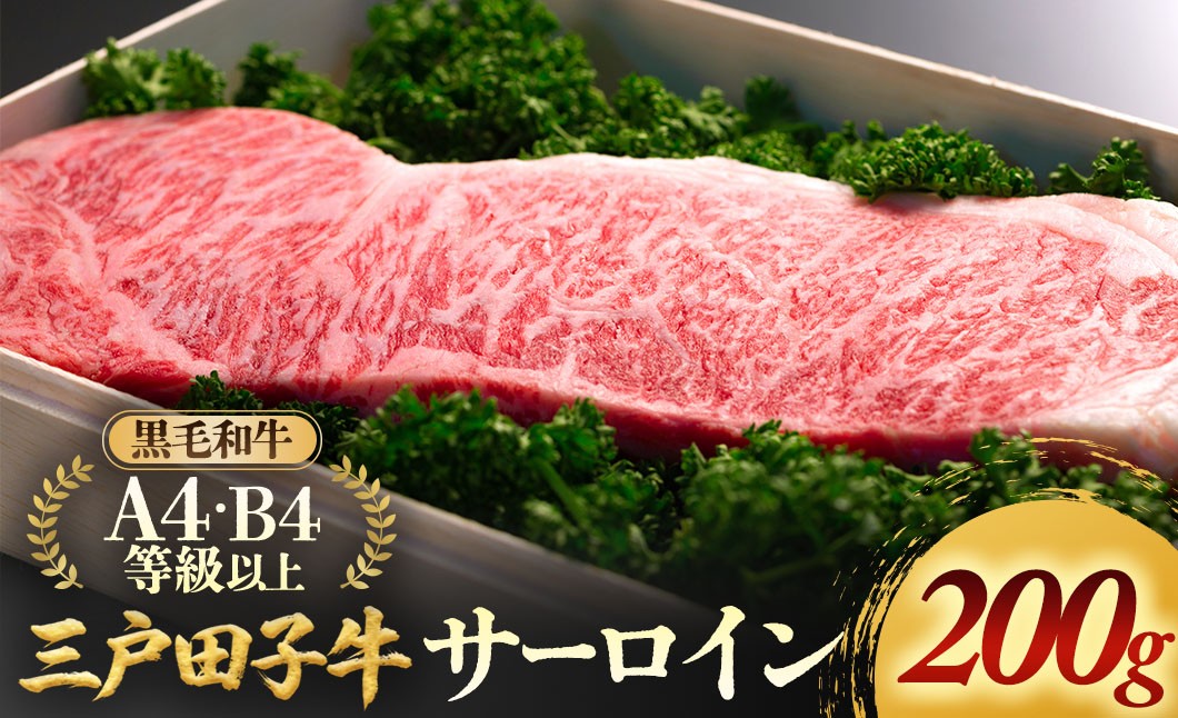 
                  「三戸田子牛」黒毛和牛 サーロイン200g A4・B4等級以上 ステーキ 牛肉 国産 ビーフ 青森県 三戸町 AP-19-016
                