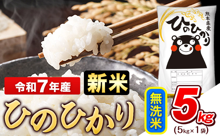 新米 令和7年産 ひのひかり 無洗米 5kg (5kg×1袋)《11月上旬頃まで出荷》熊本県産 ひの 米 こめ ヒノヒカリ コメ お米 おこめ