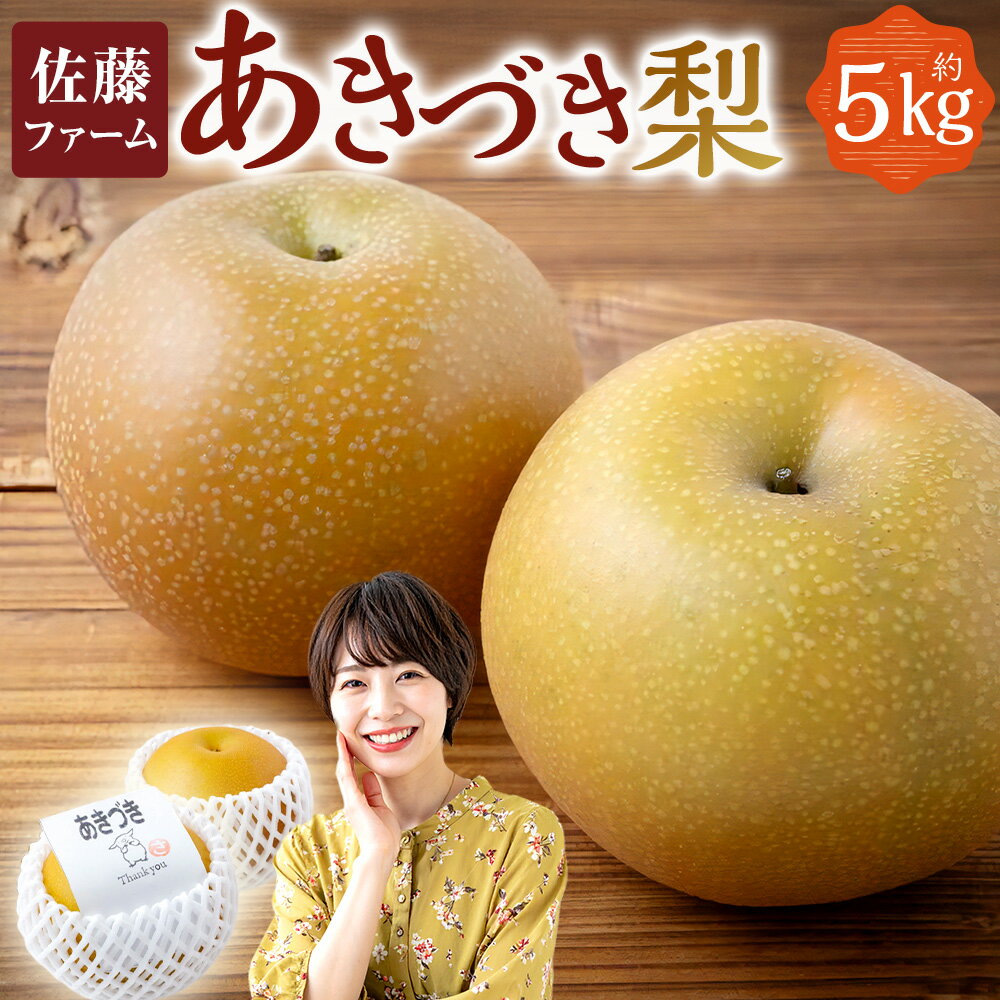 【ふるさと納税】【先行予約】佐藤ファーム あきづき梨 8玉～13玉 （約5kg） 【2026年9月上旬より順次発送予定】 梨 なし ナシ 秋月 あきづき フルーツ 果実 果物 常温 送料無料 福岡県 うきは市