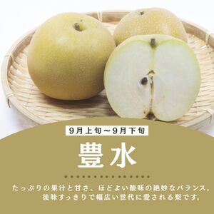 栃木県産梨 豊水 5kg