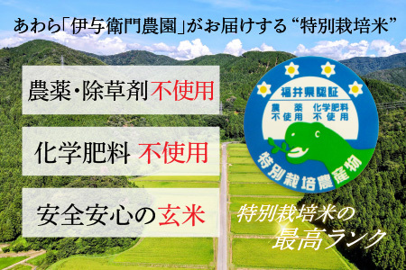 先行予約 令和6年産 コシヒカリ 玄米 10kg 特別栽培米 5kg×2袋 化学肥料不使用  ＜温度と湿度を常時管理し新鮮米を出荷！＞ / 伊与衛門農園の特別栽培米 高品質 鮮度抜群 福井県 あわら市