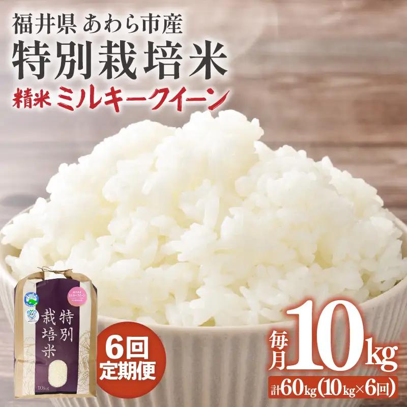 【先行予約】【令和8年産】【定期便6回】≪6ヶ月連続お届け≫ 化学肥料不使用 ミルキークイーン 精米 10kg × 6回（合計60kg）※2026年10月上旬より順次発送予定 [aw010-l002]