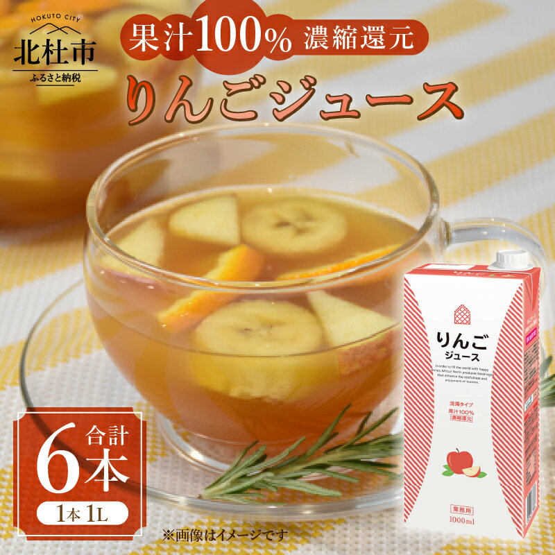 【ふるさと納税】 りんごジュース 濃縮還元 100％ ホワイトノーブル 1L 1000ml 6本 紙パック ストレート アレンジティー 混濁タイプ リンゴ 飲料 日東紅茶 業務用 優雅 贅沢 ティータイム 山梨県 北杜市 送料無料