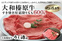 【ふるさと納税】(冷凍) 大和榛原牛 すき焼き用 霜降り もも 600g ／ うし源 本店 ふるさと納税 A5 スライス シート巻仕上 牛肉 お肉 和牛 お取り寄せ 奈良県 宇陀市 お中元 暑中見舞い お土産