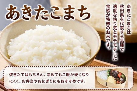 ＜令和7年産新米受付＞あきたこまち 白米 10kg（5kg×2袋）秋田県 男鹿市 鈴木農産