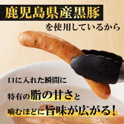 ふるさと納税 鹿児島市 鹿児島黒豚ウインナー4P　K161-007 |  | 02